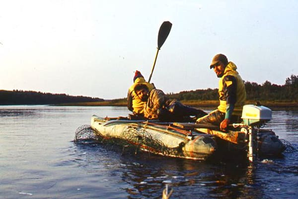 Транспортировка живых лососей — река Кица