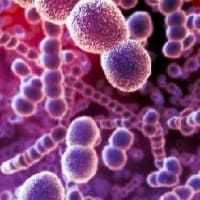 Механизмы развития рака