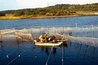 эликсир жизни Зюганова