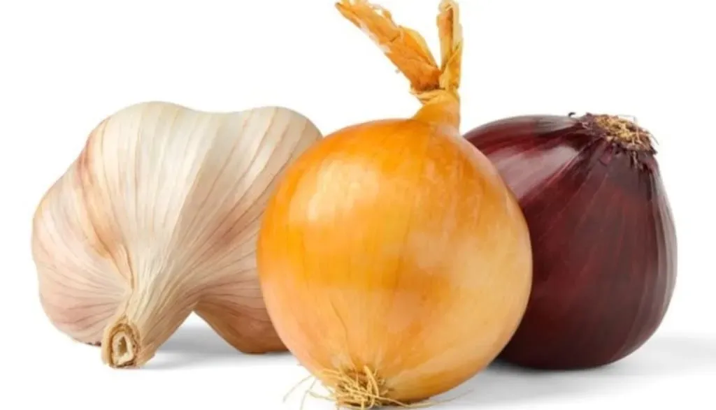 лук и чеснок против рака