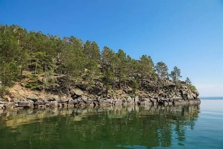 происхождение жизни