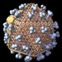 основные виды рака