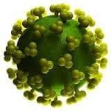 рак профилактика