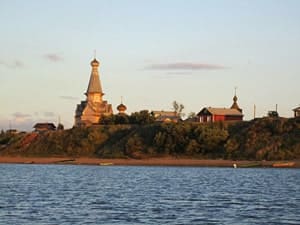 Леюрус Арктика плюс