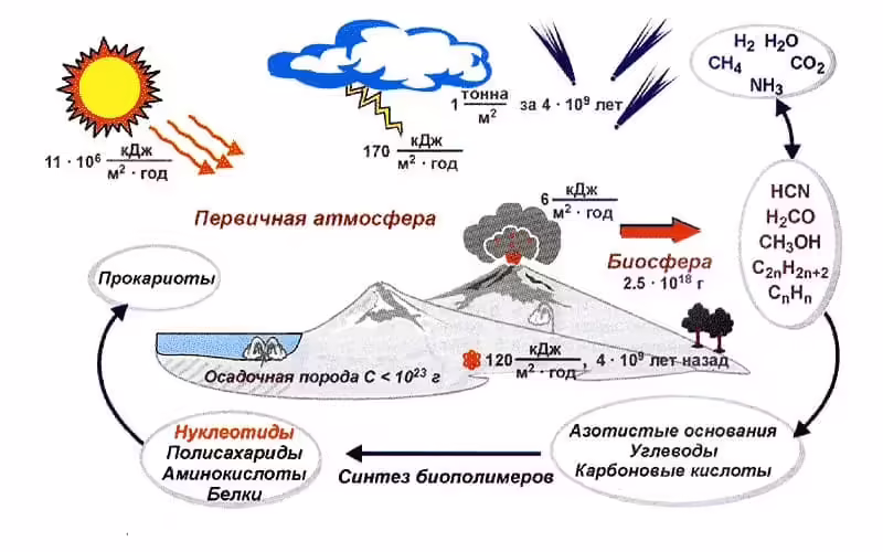 Иллюстрация к гипотезе самосборки