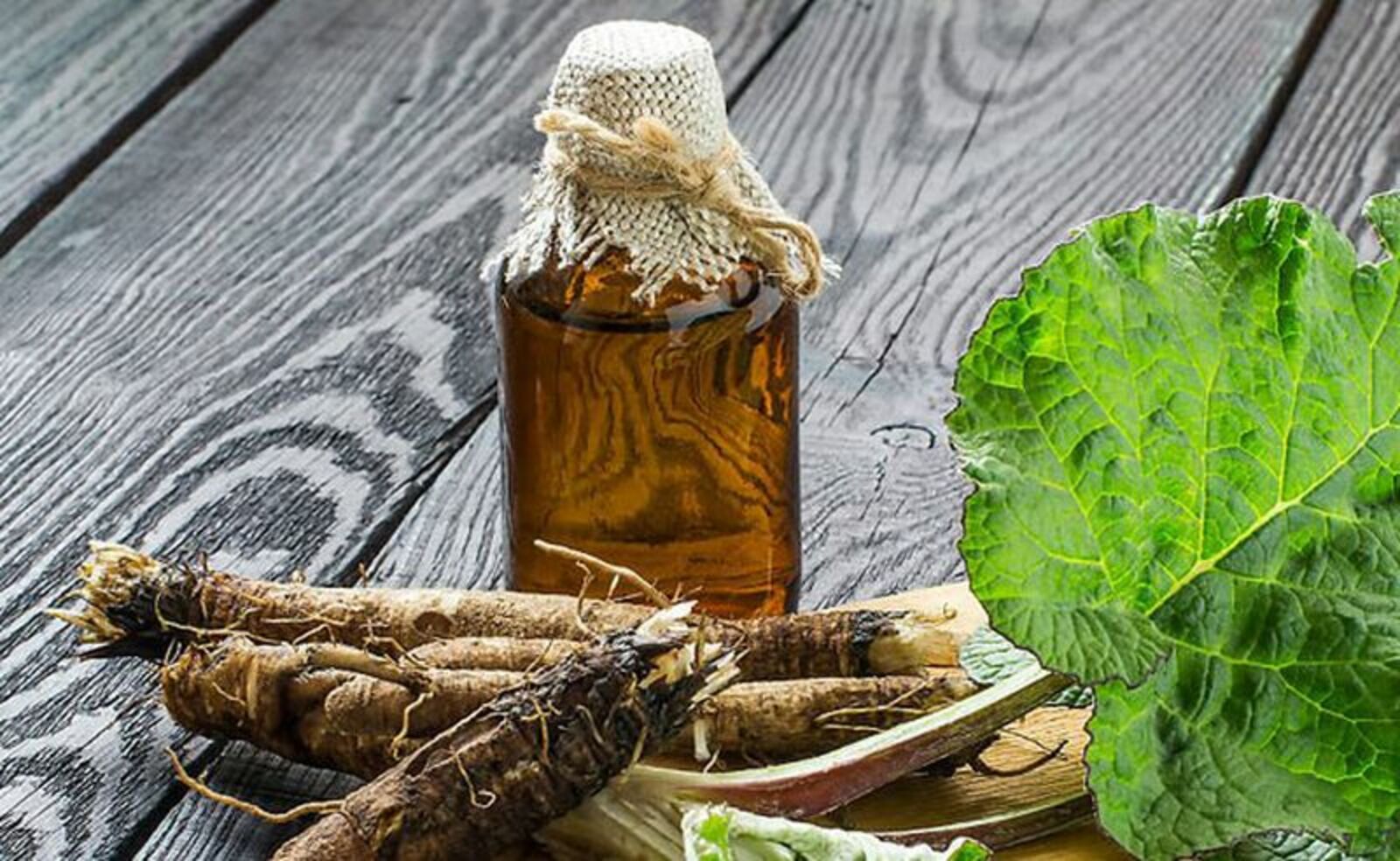 Применения корней и листьев лопуха в онкологии