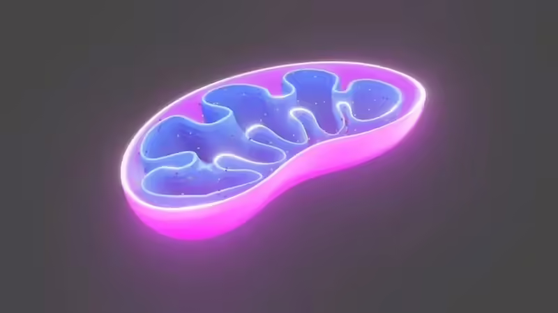 oncology cancer