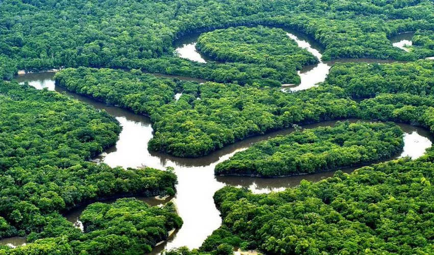 Протоки Амазонки
