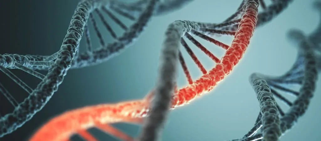 возникновение рака