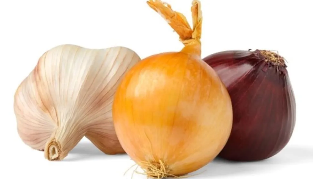 лук и чеснок против рака