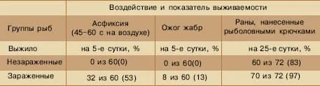 Выживаемость зараженной и  незараженной семги после повреждений