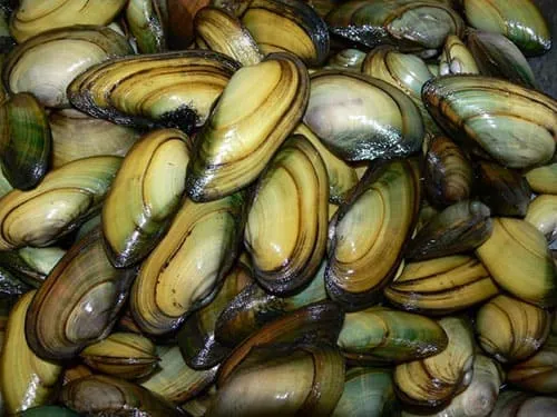 противоопухолевое лекарство