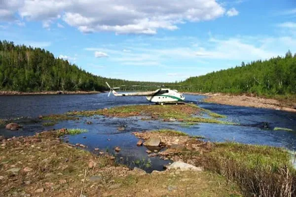 устье Ареньги скат молоди лосося